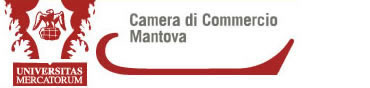 Camera Di Commercio Mantova (MV)